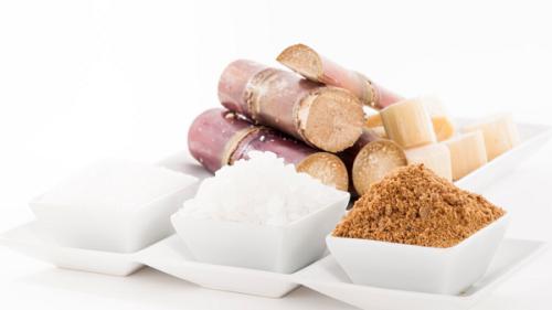 生產蔗糖的主要糖料作物是